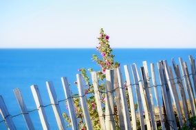 Seascape of Mediterranean sea