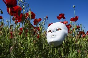 white mask on a field of poppies