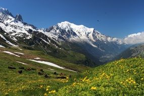distant view of mont blanc on a sunny day