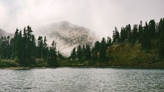 Foggy forest on a natural Lake bank