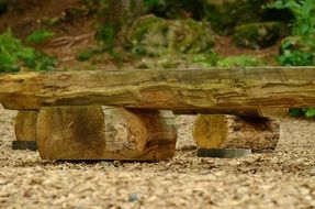 wooden bench in the resting place