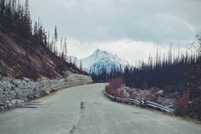 mountain road among picturesque landscape