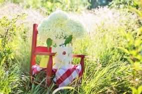 Picture of Hydrangeas bouquet in a meadow