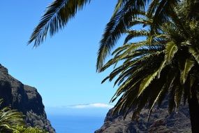 Beach on Tenerife island, spain, canary