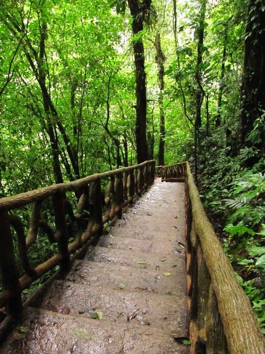 wooden staircase in the Tenorio Volcano National Park