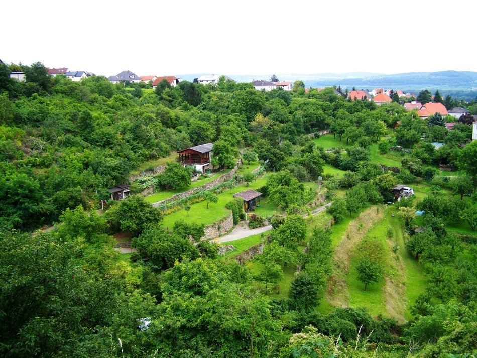 panorama of orchards in Austria