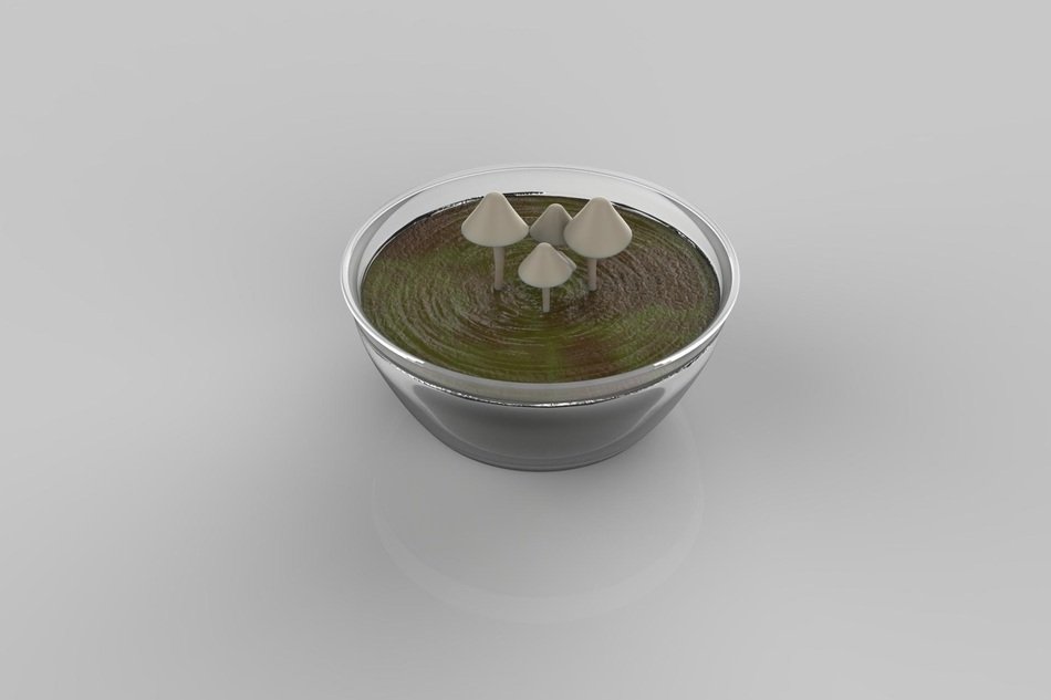 Decoration with the mushrooms
