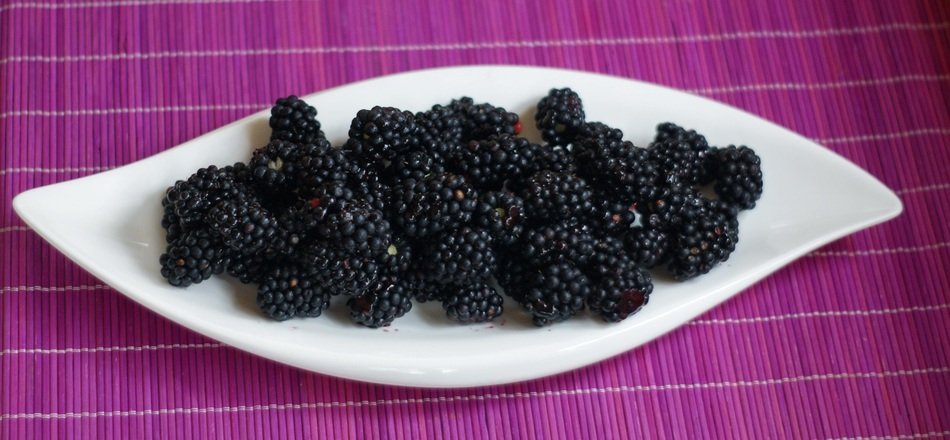 blackberries on the plate