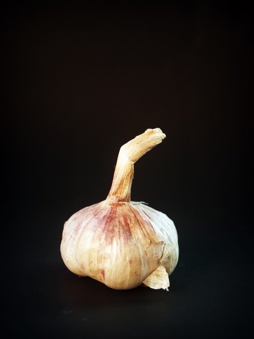 garlic on black