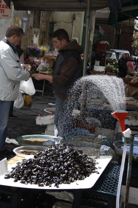 mussels under the sprinkler in the market