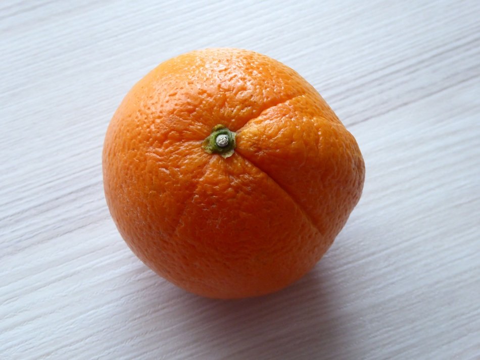 Fruit Orange Citrus