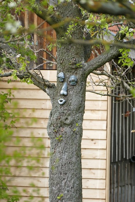 Face on the tree in the original garden Original Garden