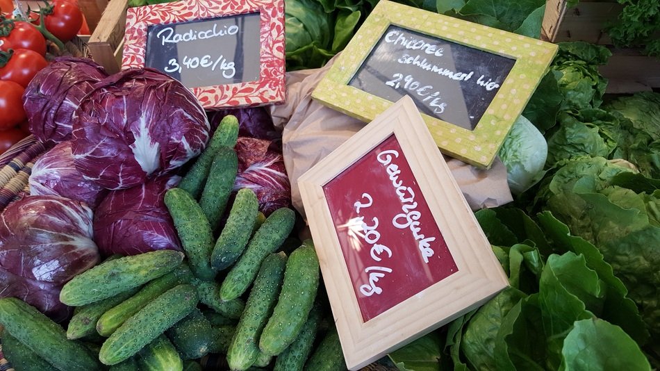 fresh organic vegetables with colorful frame signs