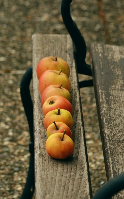 apples on a wooden bench close-up on blurred background