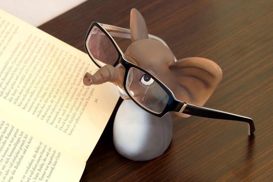 Elephant in Glasses drawing