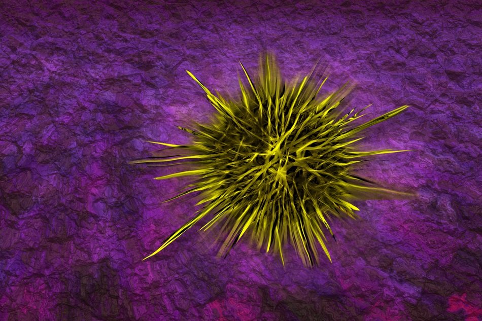 Yellow small harmful enfectional staphylococcus bacteria