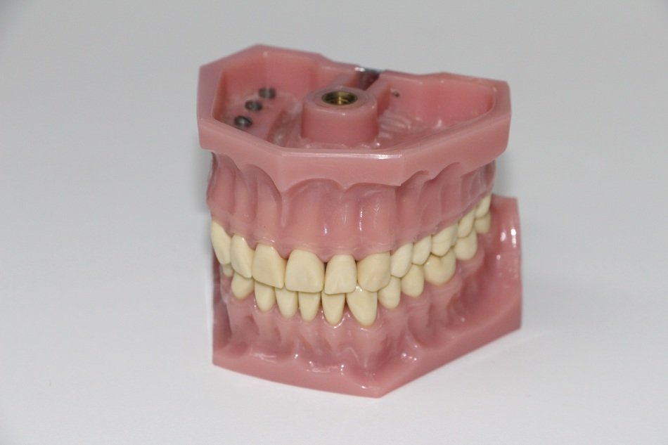 false teeth to put the bite