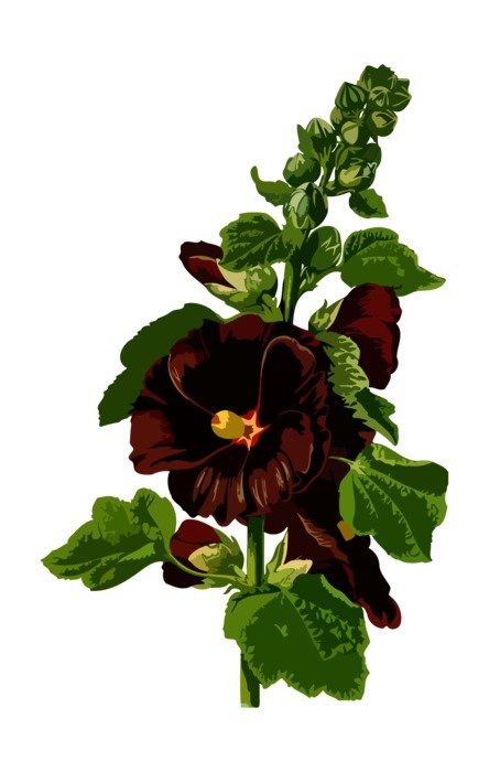 Floral Flower drawing