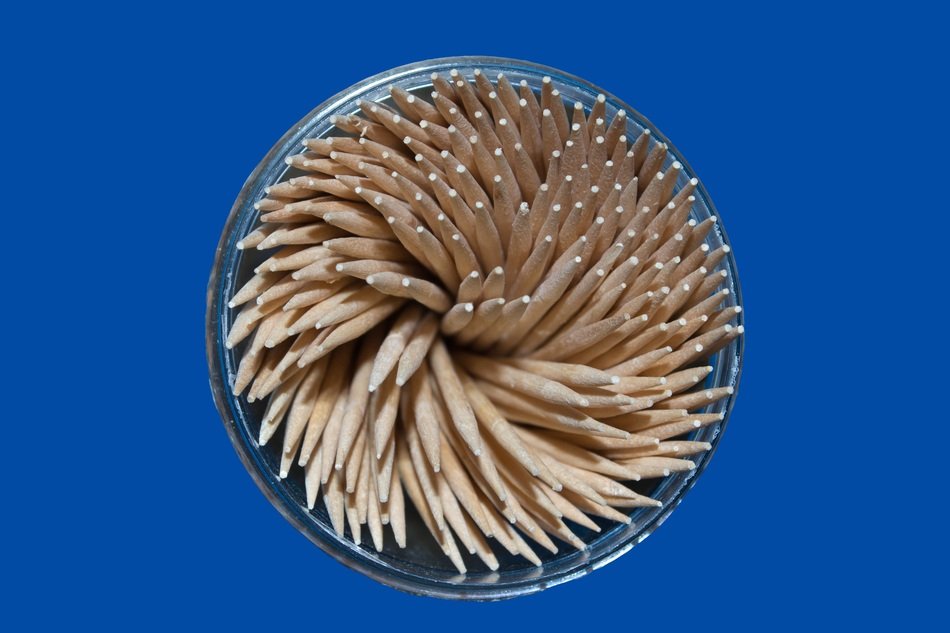 Tree Stick Toothpick