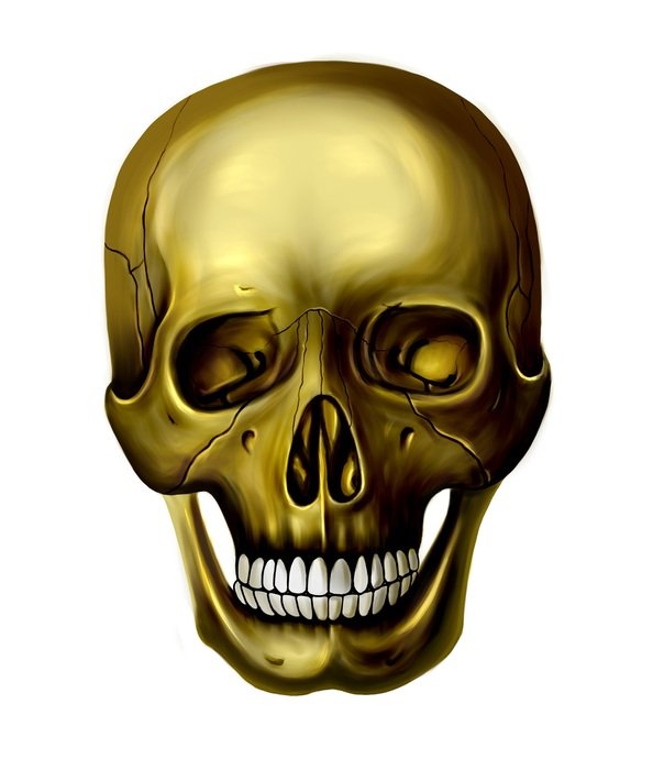 human skull on a white background