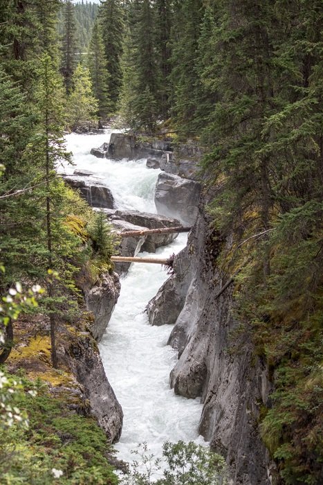 fast river in the gorge