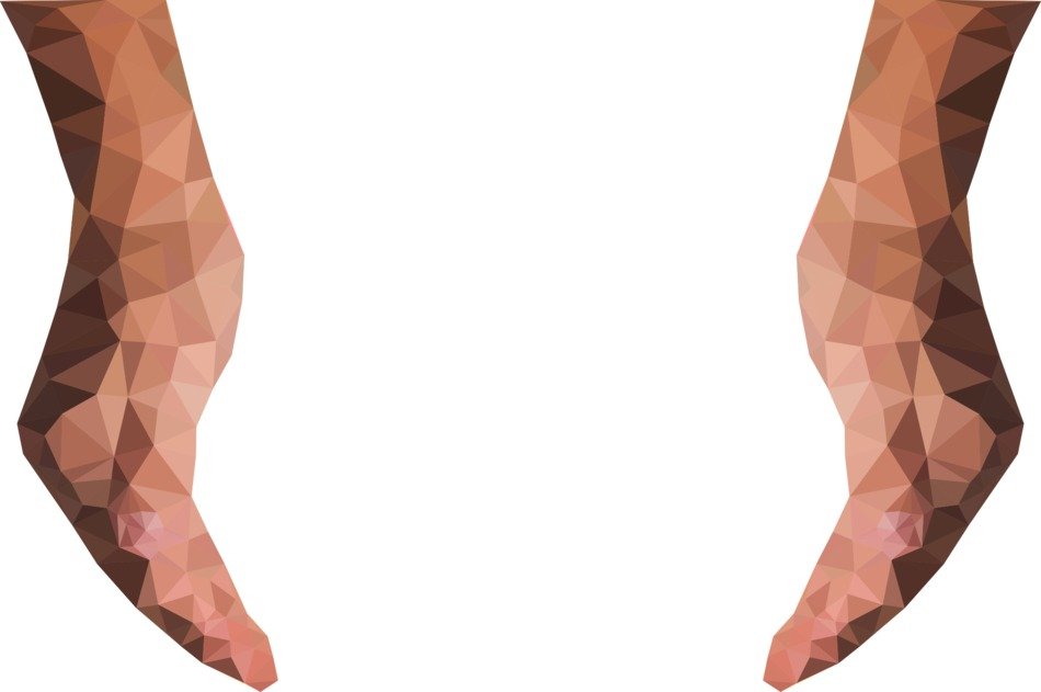geometric image of hands