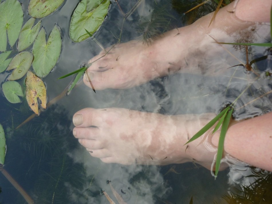 natural therapy in the lake