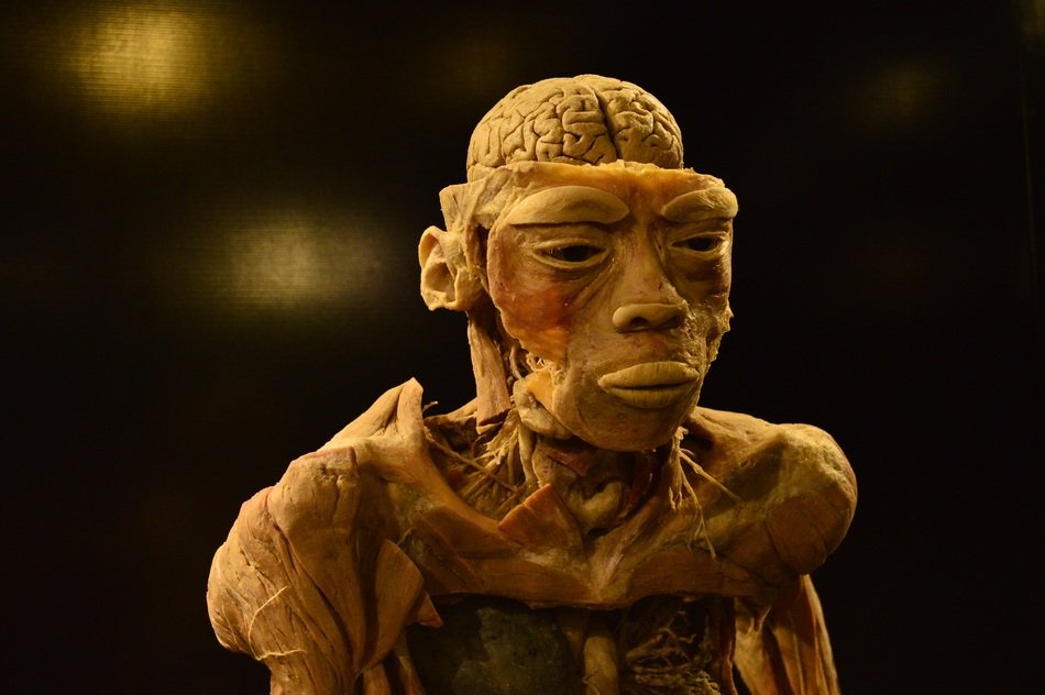 Picture of ancient Human Body