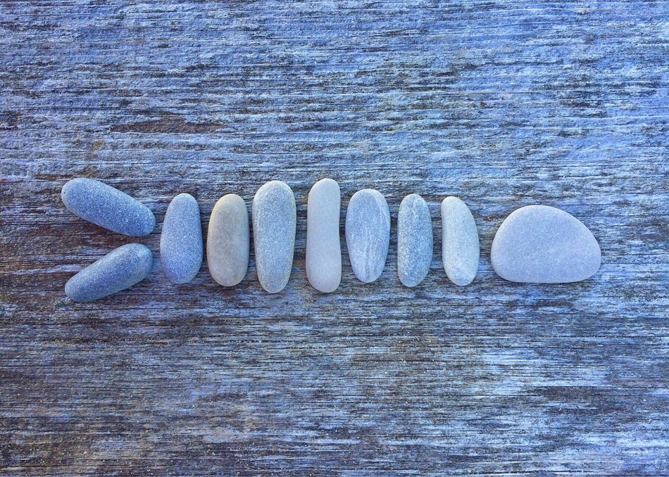 figure of fish made of pebbles