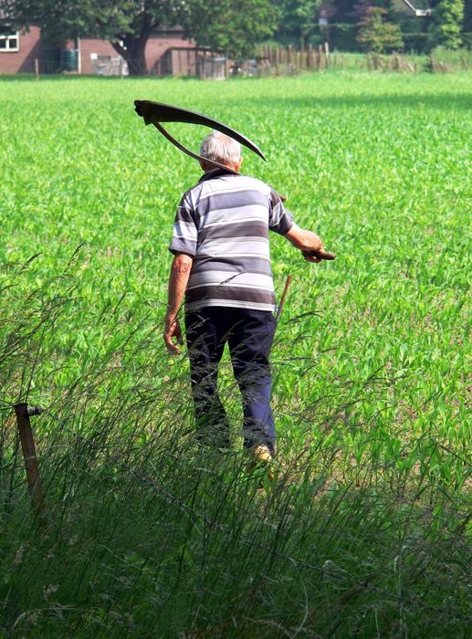 farmer with scythe on green grass