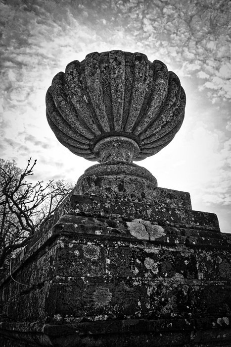 Sculpture Bowl