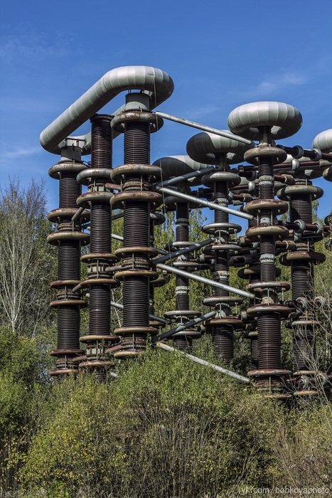 big transformer among nature