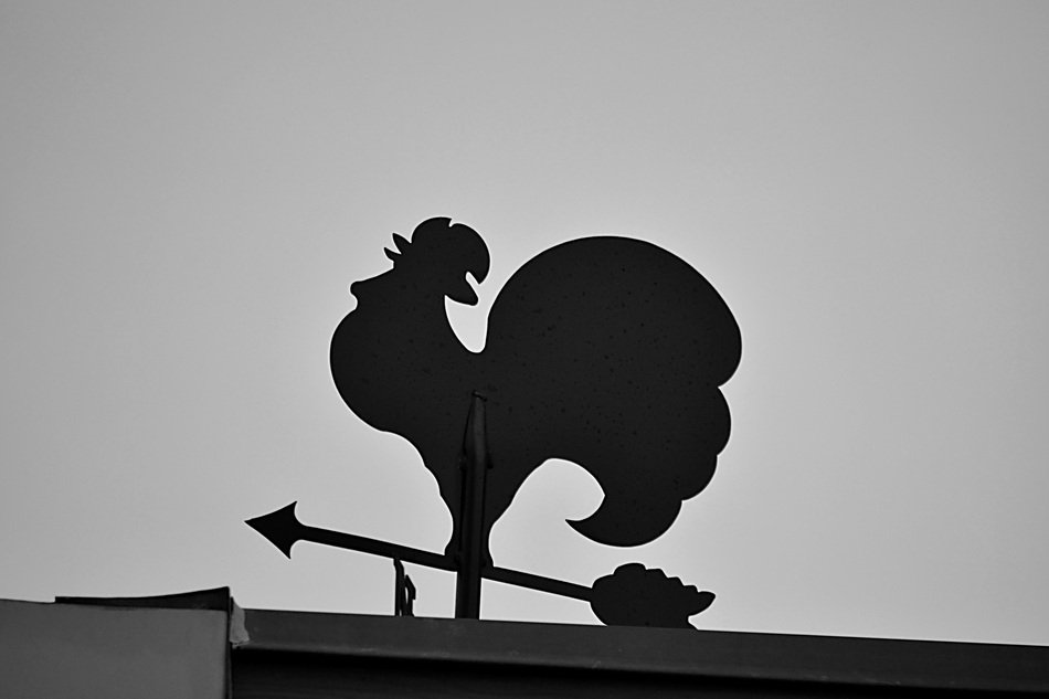 rooster-shaped weather vane