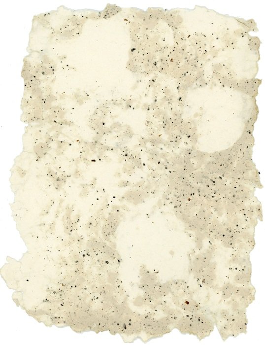 Coffee Cotton drawing