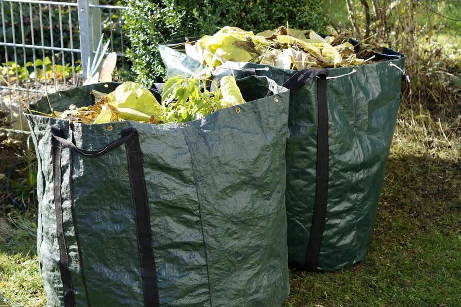 harvesting leaves in the garden