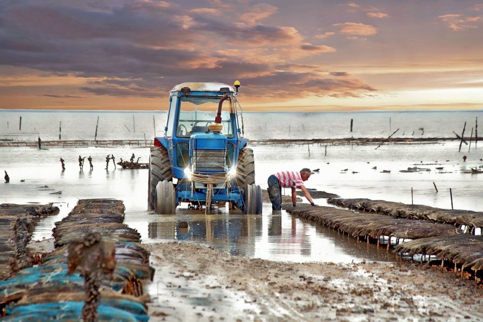 tractor in water for catching oysters