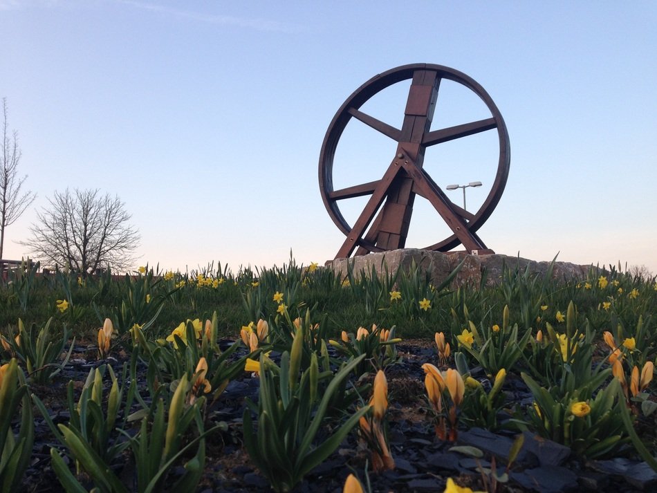 wooden wheel on the flower meadow