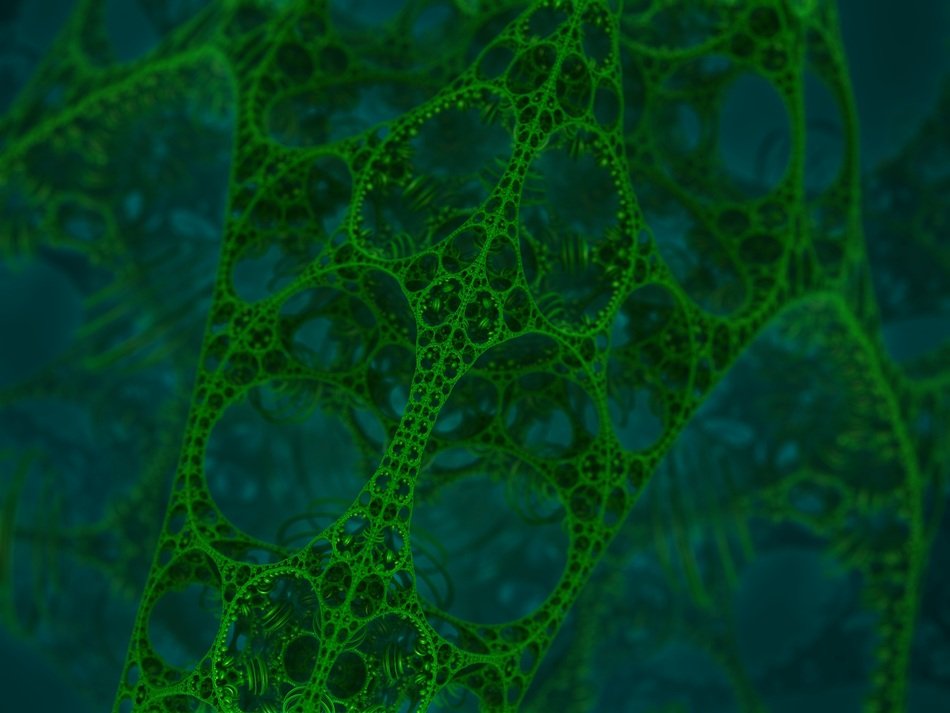 green reinforced mesh