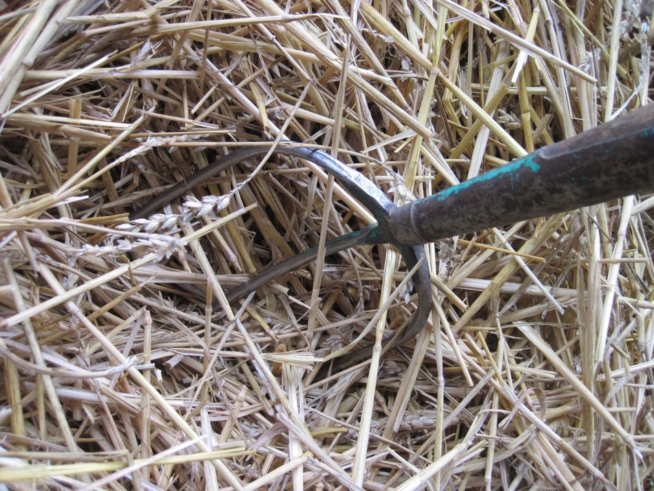fork for agriculture