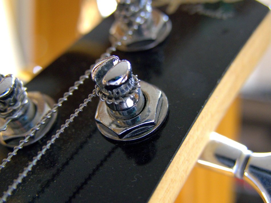 Bass Guitar closeup