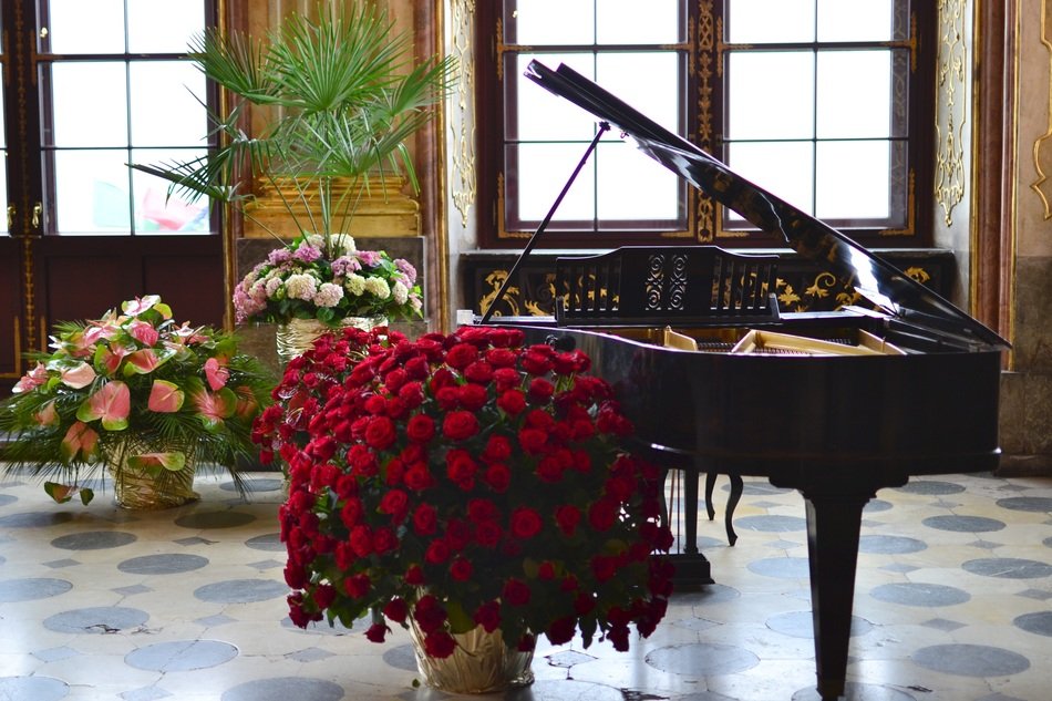 concert on Panino and flowers