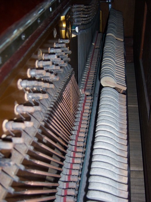 Piano Keys Inside free image download