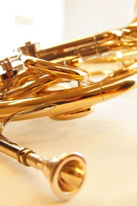 horn on the table