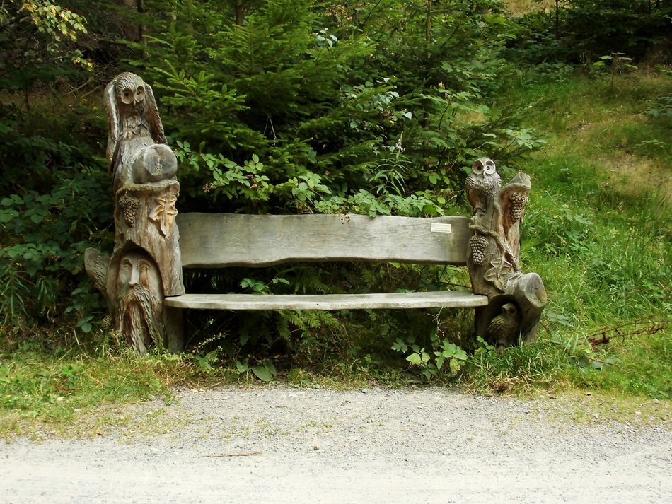 wood sculptures near the bench
