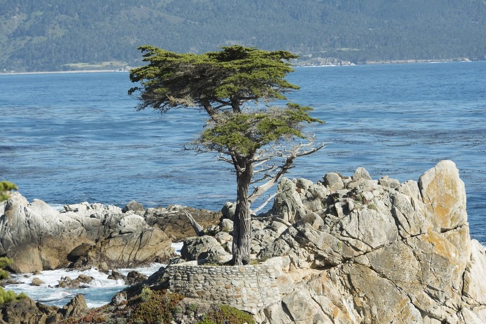 extraordinary beautiful Shoreline California