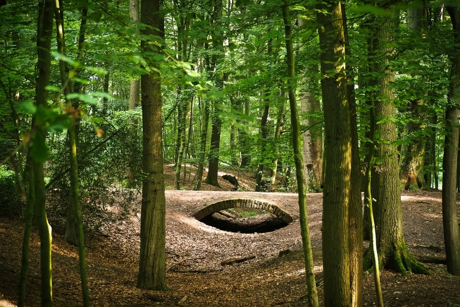 stone bridge in the thicket of the forest