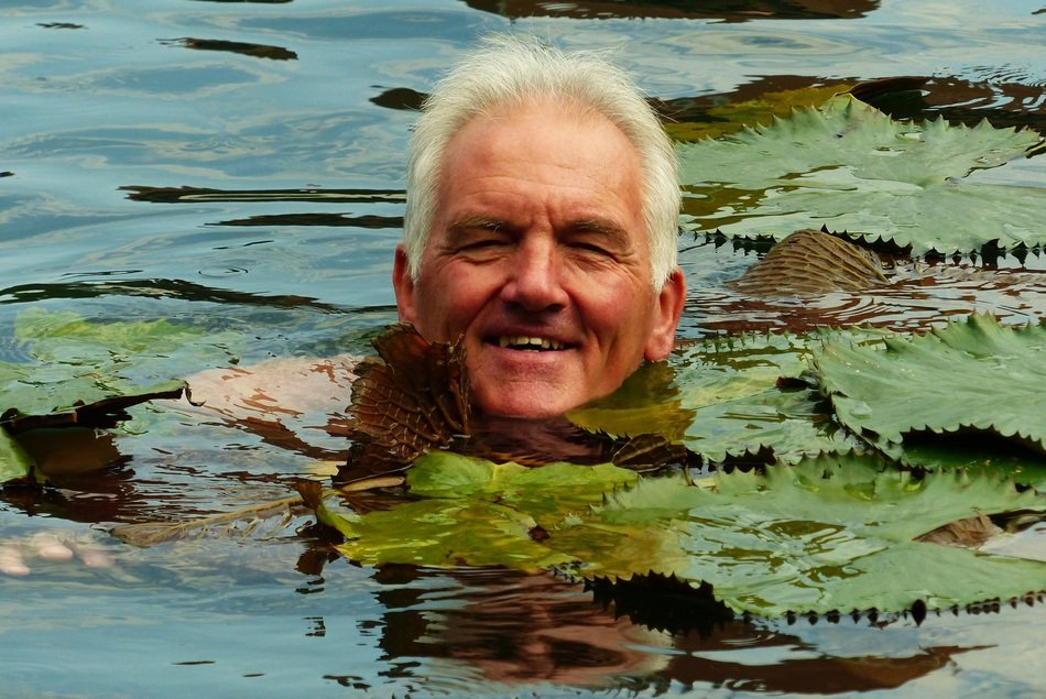 Man in the water in Hungary