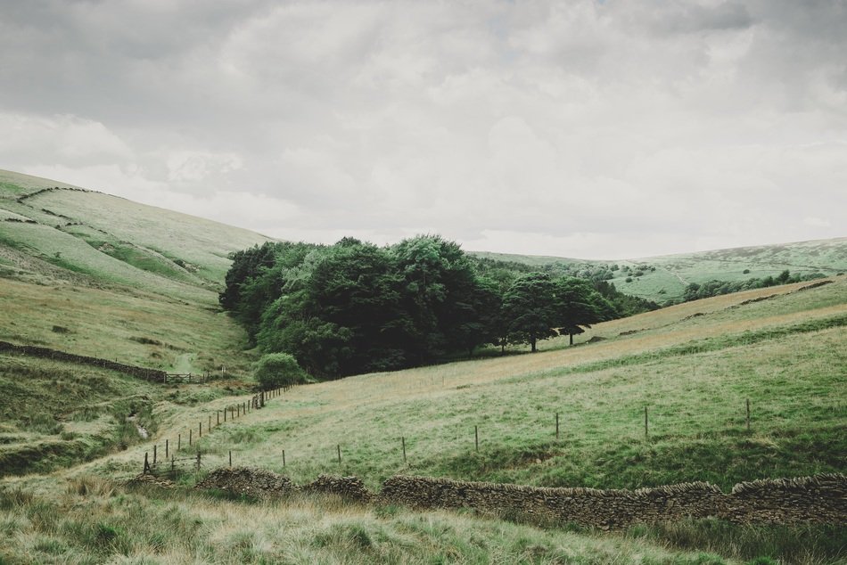 pasture with green fields