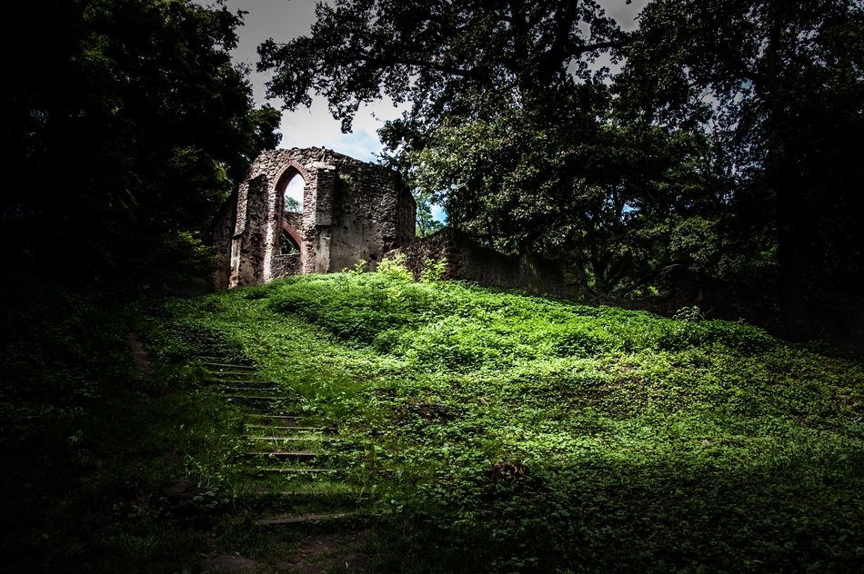 Kloster Church Forest