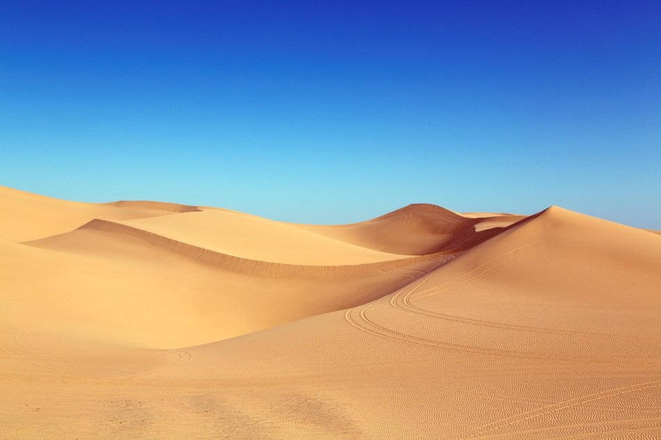 sand dunes in a nature reserve in California